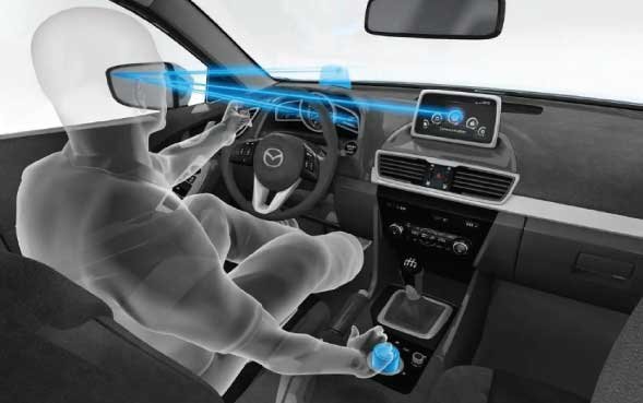 driver-monitoring-system